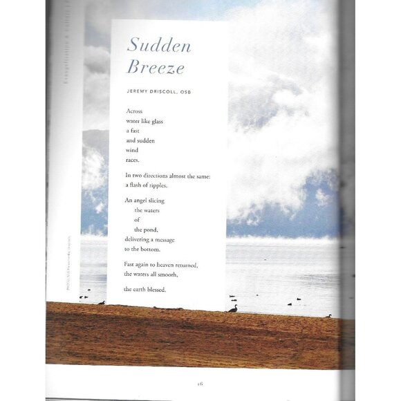 Evangelization Culture Journal of the Word on Fire #9 Poetry Autumn 2021 - Picture 5 of 7